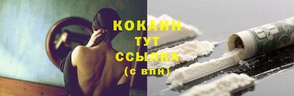 спайс Рославль