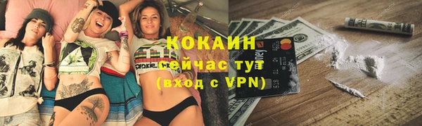 дживик Алзамай