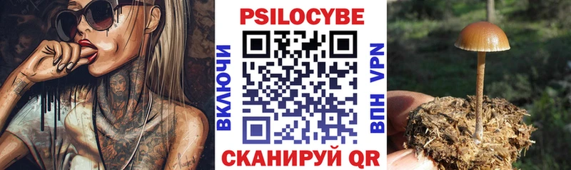 Псилоцибиновые грибы GOLDEN TEACHER  где можно купить наркотик  гидра рабочий сайт  Красноуфимск 